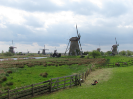 Windmills in field